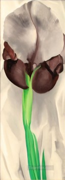 ジョージア・オキーフ ダーク・アイリス no 1 ジョージア・オキーフ アメリカのモダニズム 精密主義 Oil Paintings